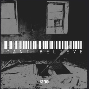 Listen to Cant Believe (Explicit) song with lyrics from Seebo