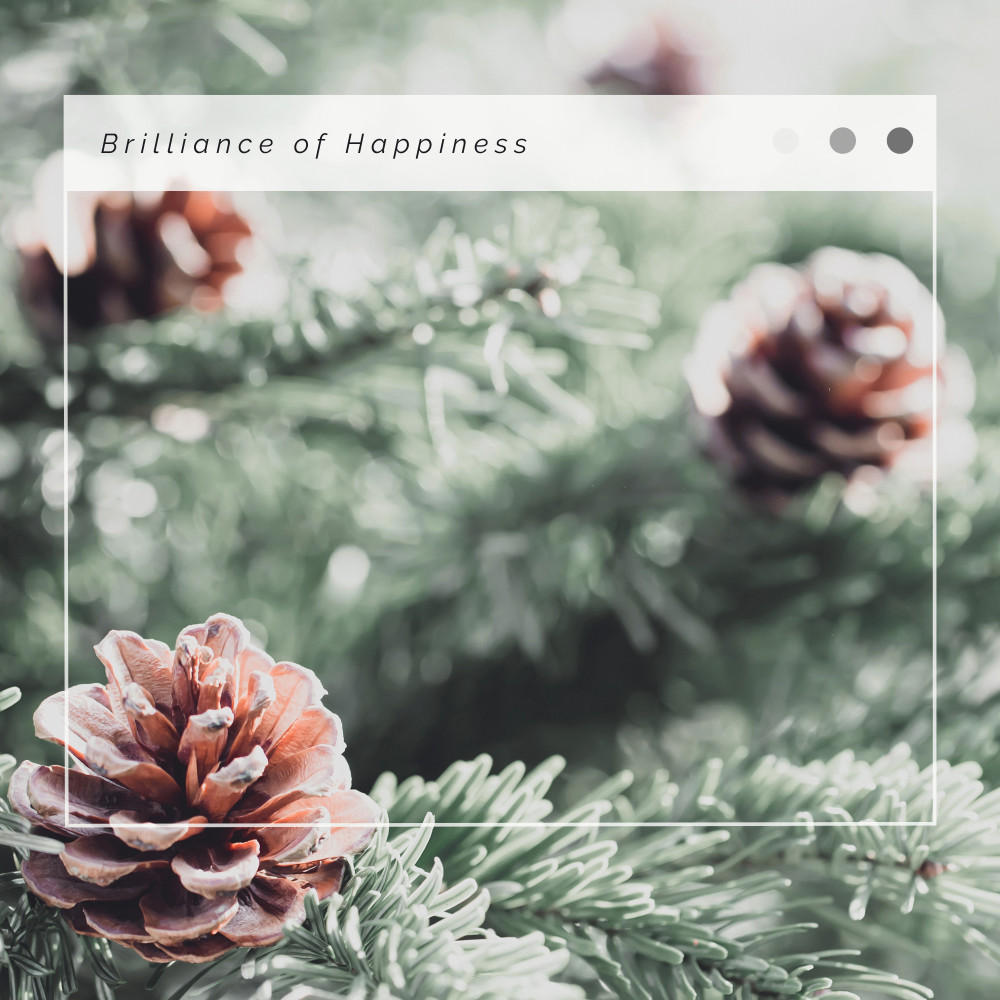 We Wish You A Merry Christmas: Total Relax