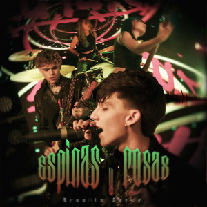 ดาวน์โหลดและฟังเพลง Espinas y Rosas พร้อมเนื้อเพลงจาก Braulio Garza