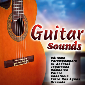 ดาวน์โหลดและฟังเพลง Recuerdos de la Alhambra พร้อมเนื้อเพลงจาก Sergi Vicente