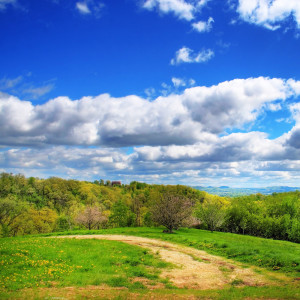 Listen to Marching Music For Your Dreams (New Age) song with lyrics from The Piano Piece