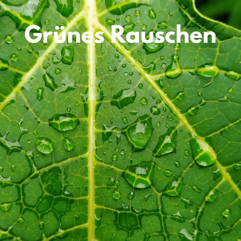 Grünes Rauschen Gerät