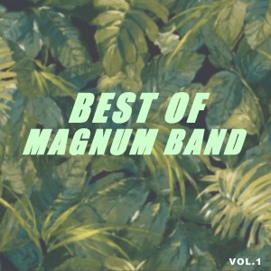Album Best of magnum band (Vol.1) from Magnum Band