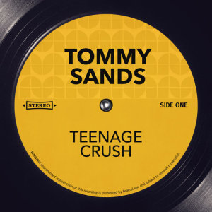 收聽Tommy Sands的My Love Song歌詞歌曲