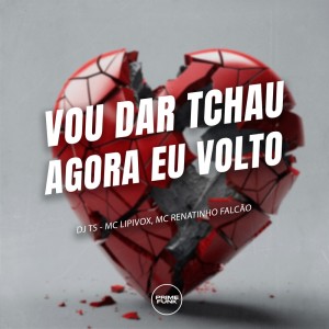ดาวน์โหลดและฟังเพลง Vou Dar Tchau Agora Eu Volto (Explicit) พร้อมเนื้อเพลงจาก DJ TS