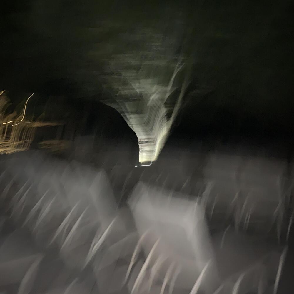 Dead Sirens (Explicit)