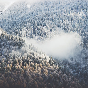 อัลบัม Deep Sleep ศิลปิน Entspannings und Schlaf Musik