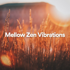 อัลบัม Mellow Zen Vibrations ศิลปิน Zen Meditation and Natural White Noise and New Age Deep Massage