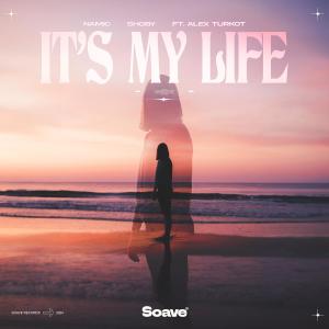 Dengarkan lagu It's My Life (feat. Alex Turkot) nyanyian Namic dengan lirik