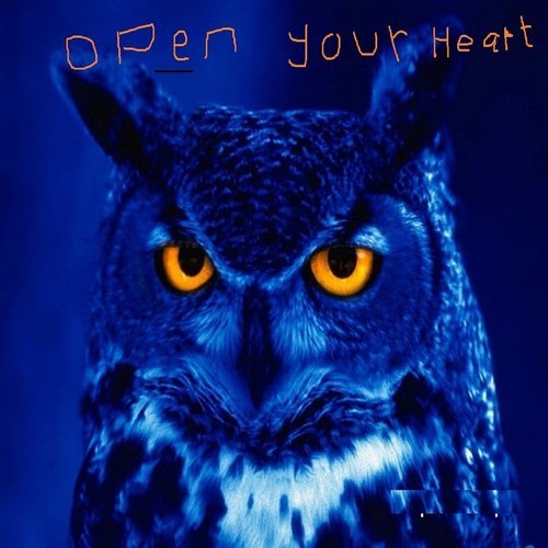 Open Your Heart (其他)