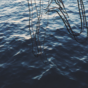Album Track 19 from 