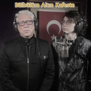 收聽Paul Dwyer的Bülbülüm Altın Kafeste歌詞歌曲