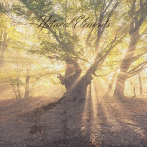 ดาวน์โหลดและฟังเพลง The Ultimate Disco Groove พร้อมเนื้อเพลงจาก Robbie Rivera