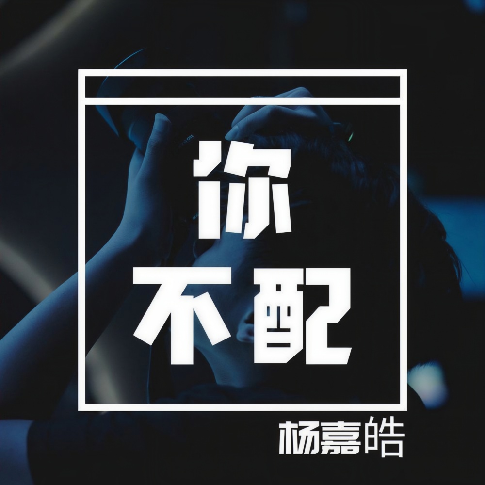 你不配 (和声伴奏)