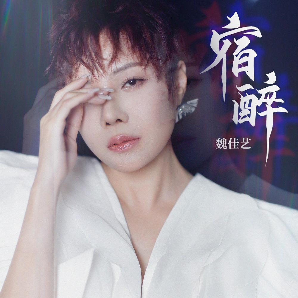 宿醉 (DJ九零版伴奏)