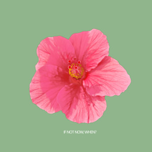 Listen to If Not Now, When? song with lyrics from AM Kidd