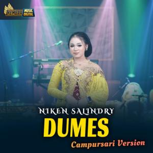 Dengarkan Dumes lagu dari Niken Salindry dengan lirik