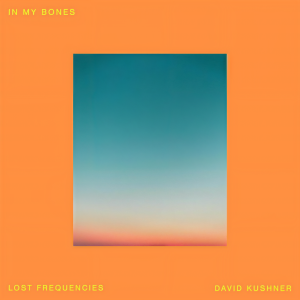 Lost Frequencies的專輯In My Bones