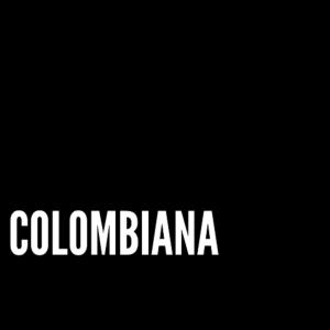 Listen to COLOMBIANA(feat. JESUS CRI & BROSSNATION MUSIC) (Explicit) song with lyrics from José G