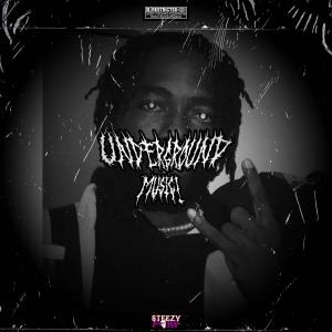 收聽Steezy Purp的TRAP JUMPIING (feat. pRuf_ZM) (Explicit)歌詞歌曲