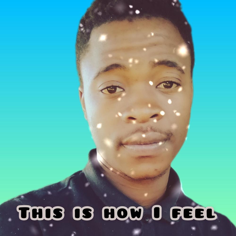 This is how I feel (feat. eMeLJay Prosper) (Explicit)