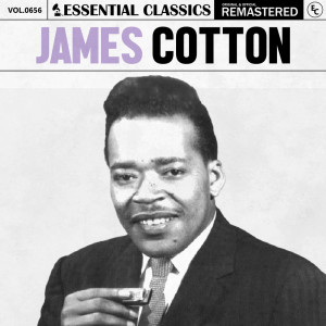 收聽James Cotton的I'm Ready歌詞歌曲