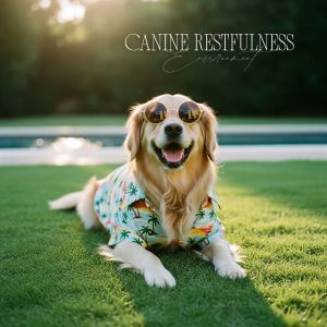 Pet Care Club的专辑Canine Restfulness Environment