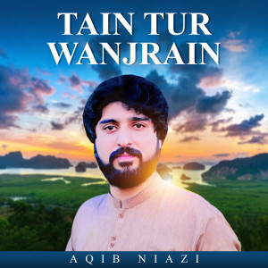 Listen to Tain Tur Wanjrain song with lyrics from Aqib Niazi