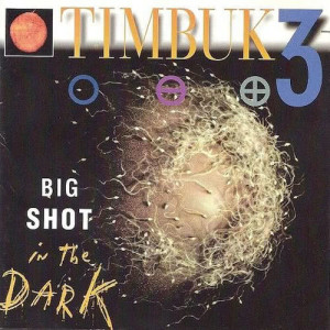 ดาวน์โหลดและฟังเพลง Dis---land (Was Made For You & Me) พร้อมเนื้อเพลงจาก Timbuk 3