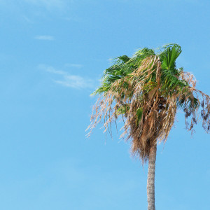 Dengarkan lagu Endless nyanyian SPA dengan lirik