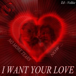 ดาวน์โหลดและฟังเพลง I Want Your Love พร้อมเนื้อเพลงจาก DJ-Volkie
