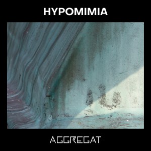 ดาวน์โหลดและฟังเพลง Hypomimia (Single Edit) พร้อมเนื้อเพลงจาก Aggregat