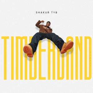 收聽ShakurTYB的Timberland歌詞歌曲