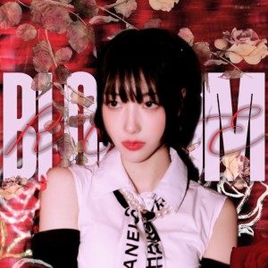 Listen to Rose Blossom (cover: Loekey) (完整版) song with lyrics from Tournesol音乐站