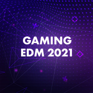 Various Artists的專輯Gaming EDM 2021 (Explicit)