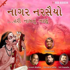 Ravindra Sathe的专辑Naagar Narsaiyo…Hari Naamnun Naanu