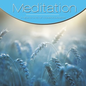 Meditation String的專輯Meditation, Vol. Light Blue, Vol. 2