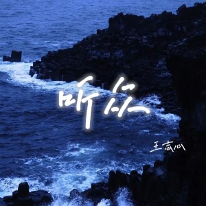 Listen to 听众 (DJ楠哈哈版) song with lyrics from 王志心