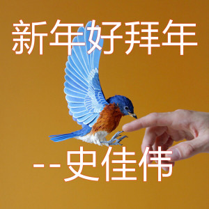 收听史佳伟的新年好拜年 (史佳伟版)歌词歌曲