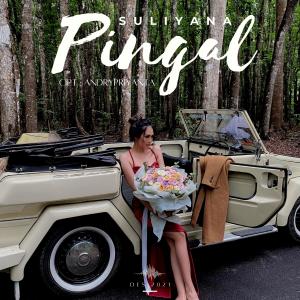 Album Pingal from Suliyana