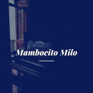 Album Mambocito Milo oleh Ben Webster