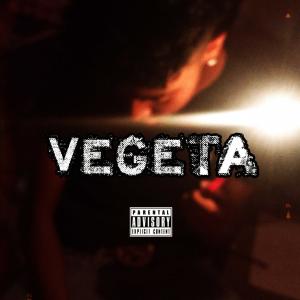 Listen to Vegeta song with lyrics from Bryce Da Menace