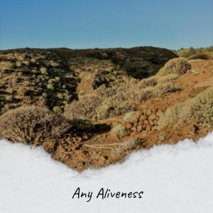 Listen to Shirt song with lyrics from Miel Aveer