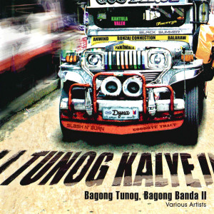 Listen to Hurt Goes Bye song with lyrics from Anwind