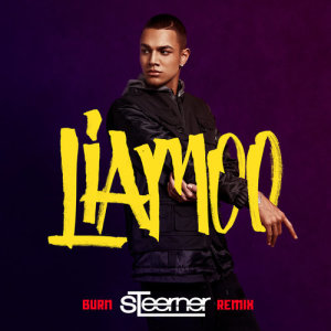 收聽LIAMOO的Burn (Steerner Remix)歌詞歌曲