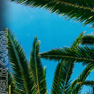 ดาวน์โหลดและฟังเพลง Mood (Sultan + Shepard Remix) พร้อมเนื้อเพลงจาก Felix Cartal