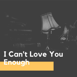 I Can't Love You Enough