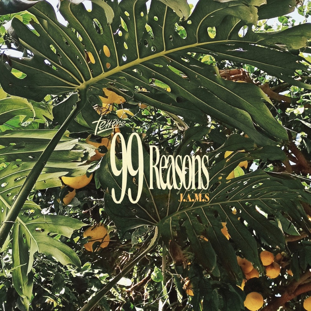 99 Reasons