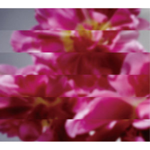 ดาวน์โหลดและฟังเพลง Labyrinth (Album Mix)  [Vocal:Hikari Mitsushima] พร้อมเนื้อเพลงจาก Mondo Grosso