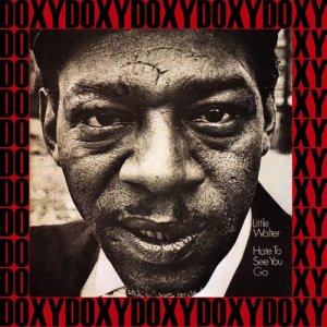 ดาวน์โหลดและฟังเพลง Everybody Needs Somebody พร้อมเนื้อเพลงจาก Little Walter